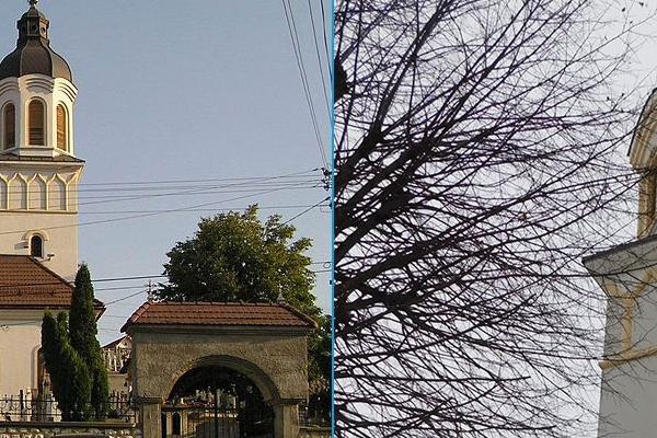 Biserica Ortodoxă ”Înălțarea Domnului” 